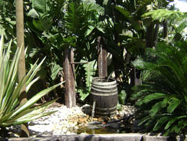 landscaping 7